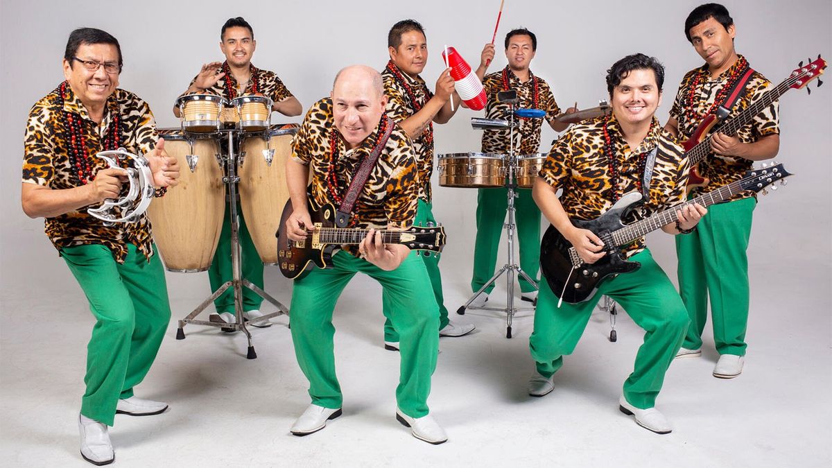 Los Mirlos