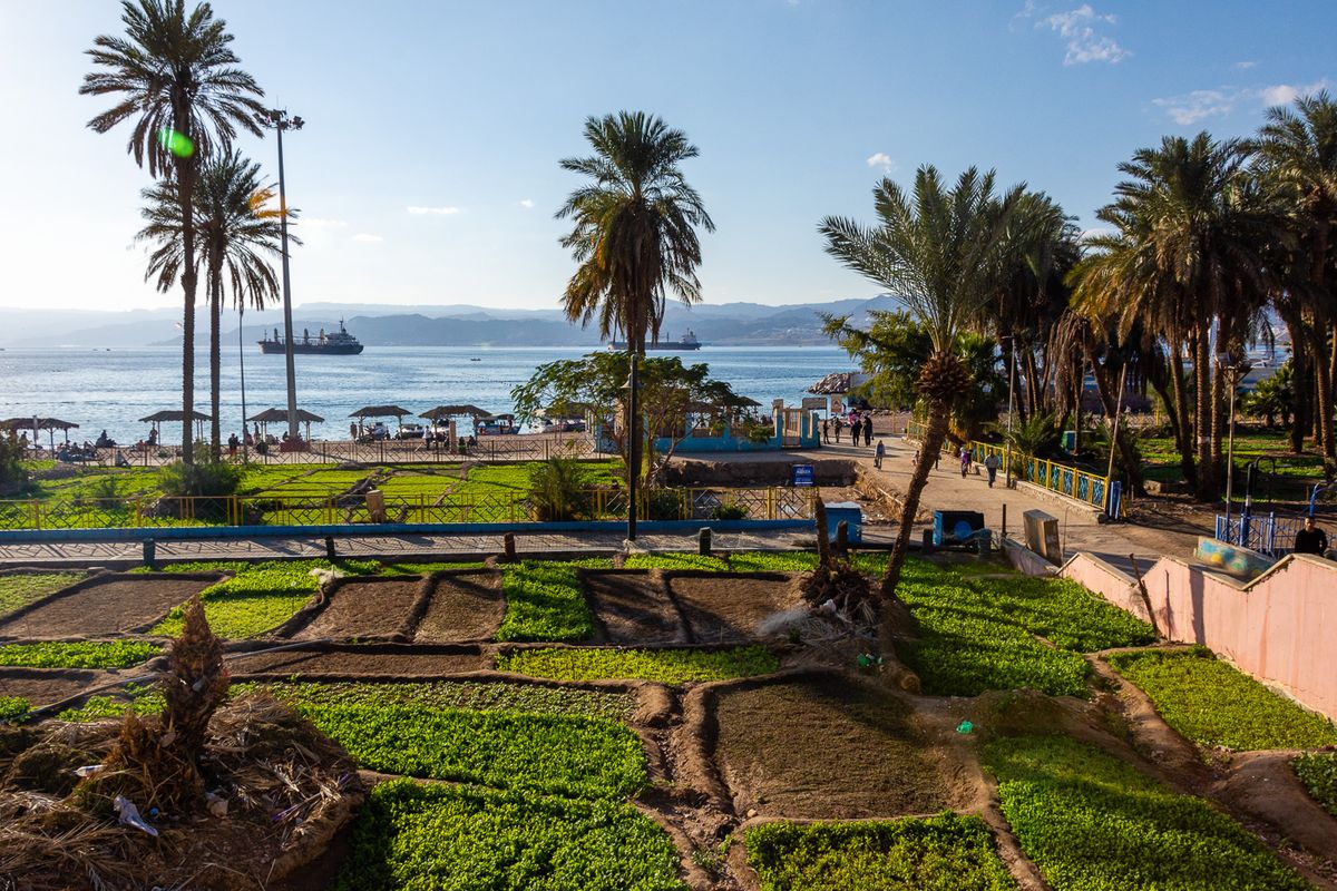 Parking Droves, My Reply, Long Cold Stare, Following Seas