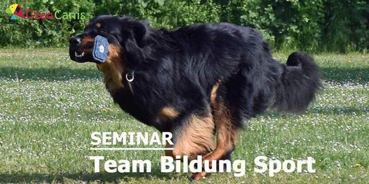 Sportseminar, A-8700 Leoben, Antje Engel + CC Trainer