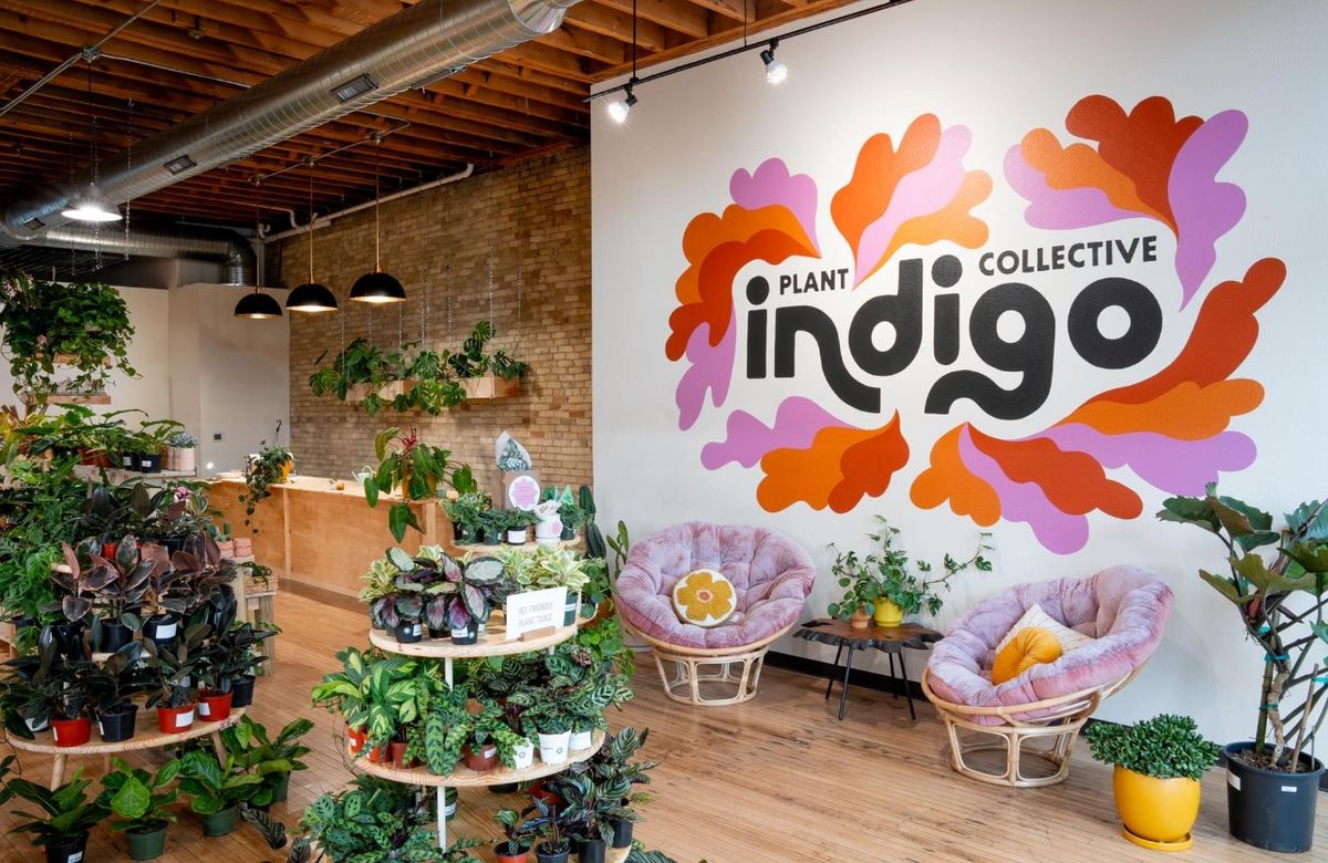 Yoga With The Plants - $20 @ Indigo Plant Collective