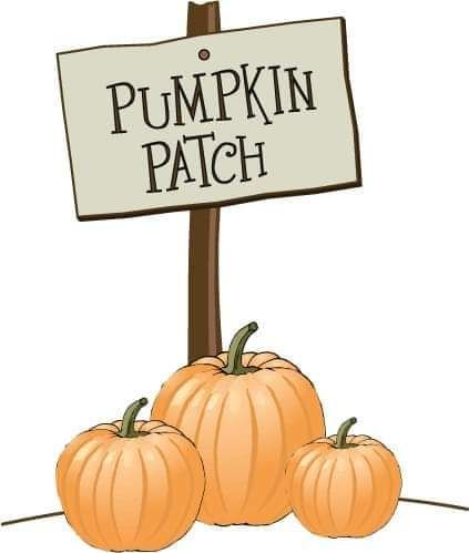 The Pumpkin Patch 