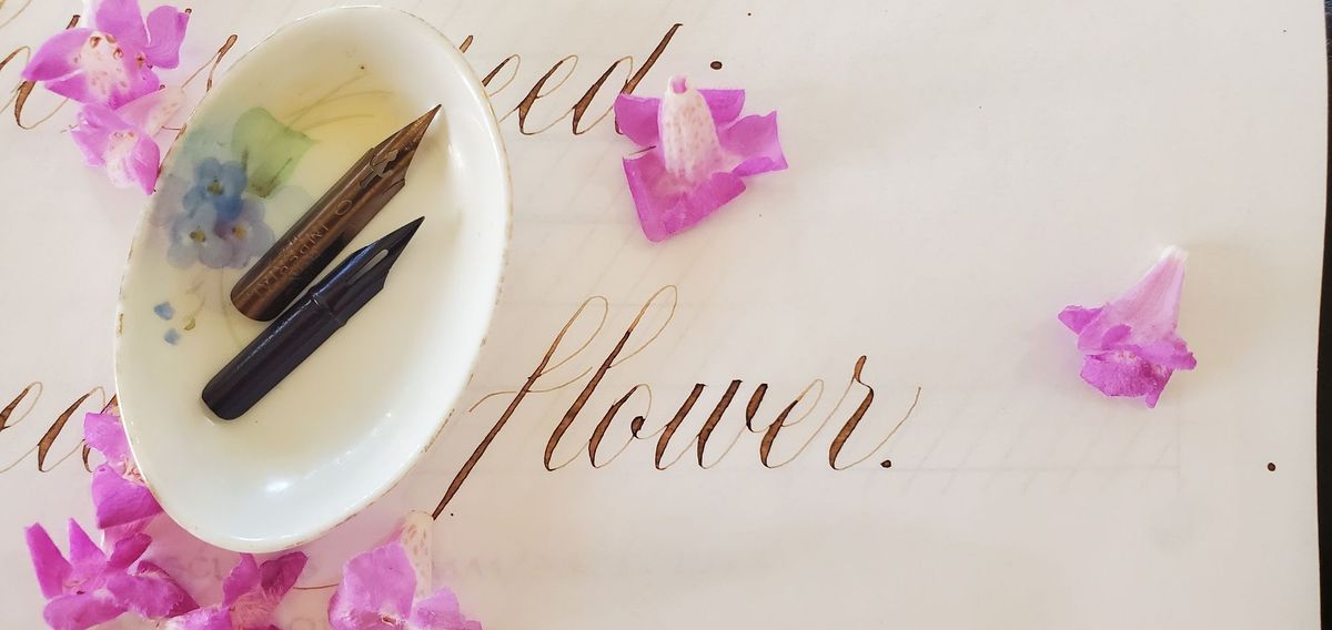 Intro to Pointed Pen Calligraphy Class