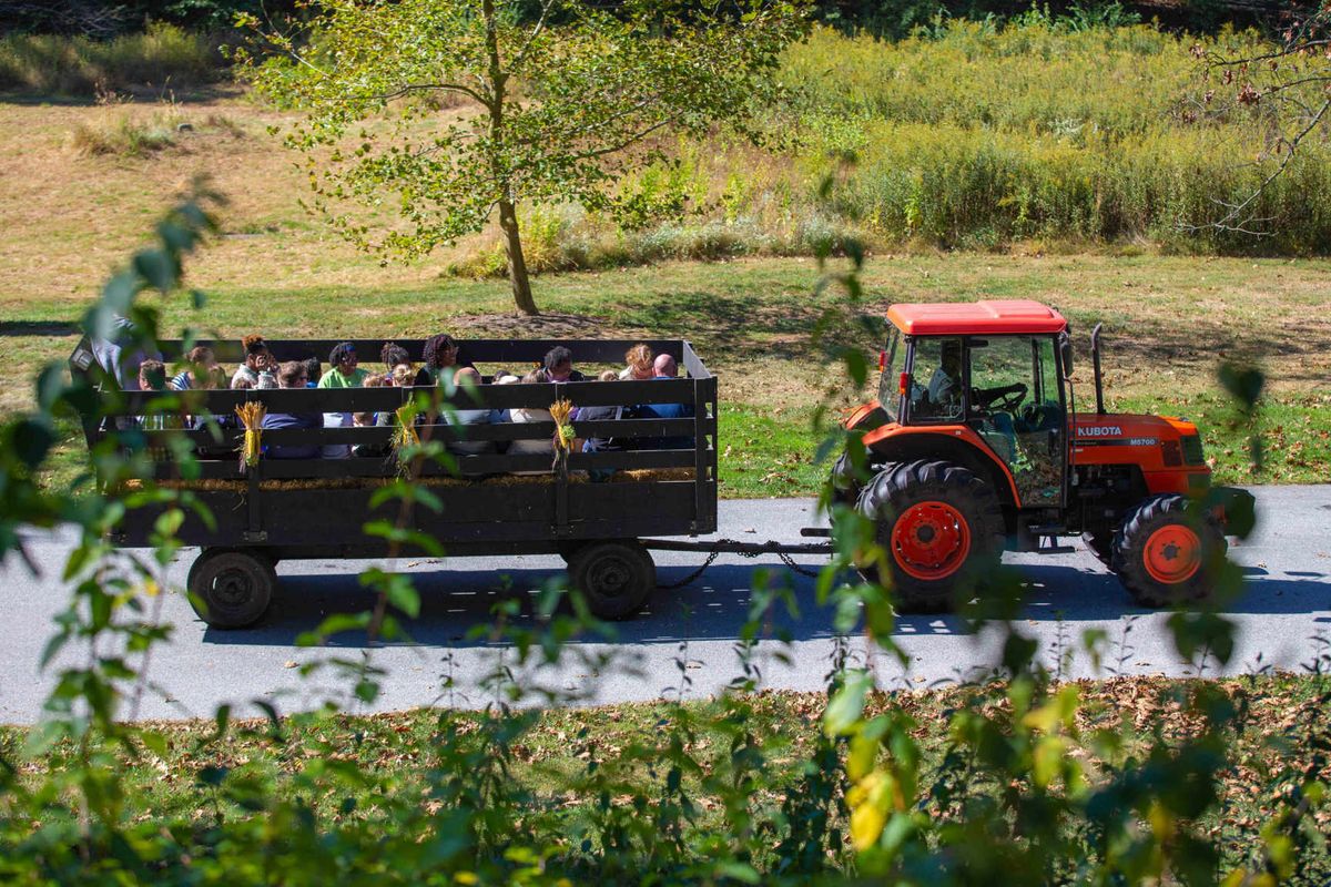 Truck & Tractor Day