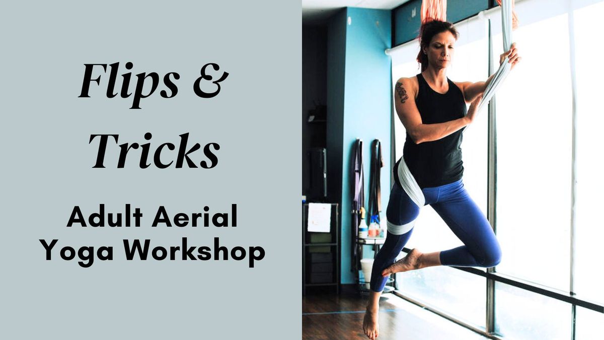 Flips & Tricks Adult Aerial Workshop