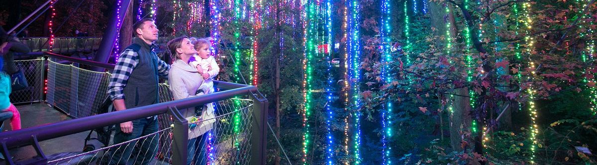 Garden Lights, Holiday Nights Member Premiere