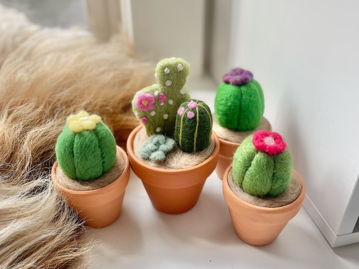 Needle Felting Class - Cacti