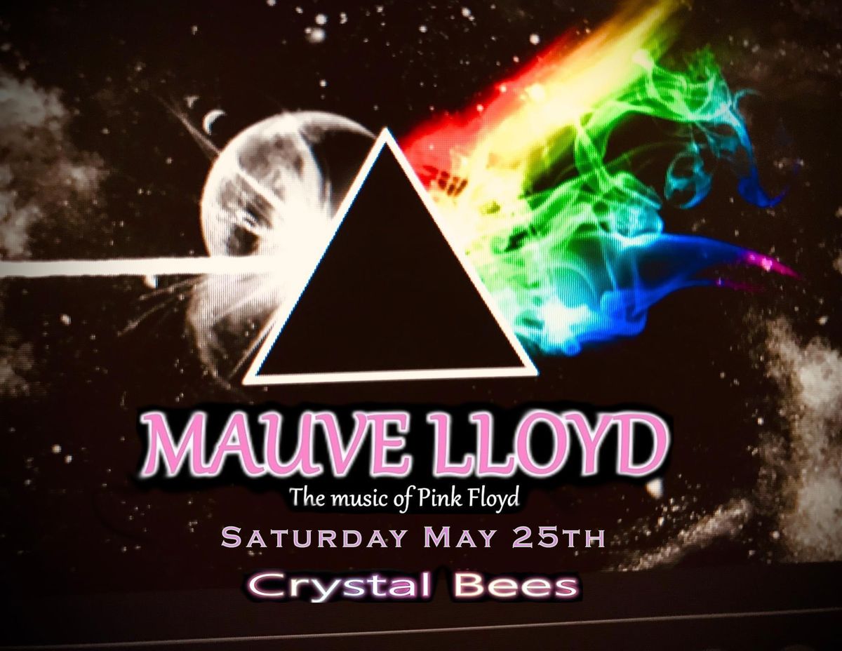Pink Floyd celebration w Mauve Lloyd 