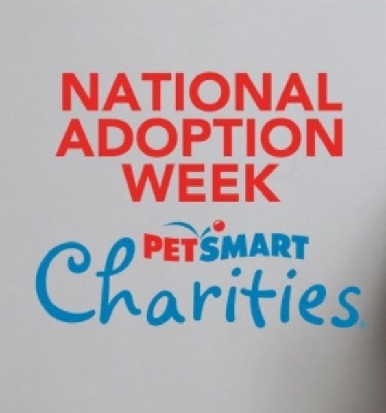 GREENWOOD Petsmart National Adoption Event