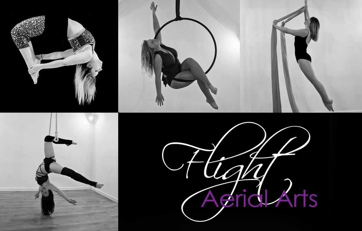 Full Day Aerial Intensive