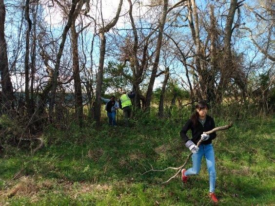 Murfreesboro's Park Day Volunteer Event