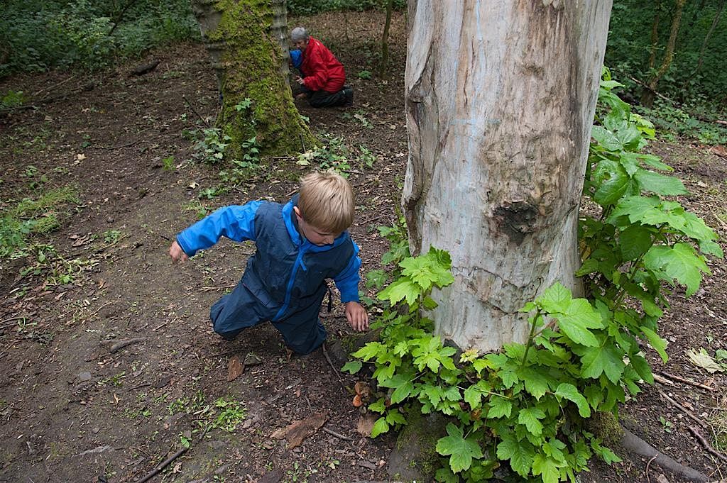 NWT Sweet Briar Marshes: Treemendous trees half-term family event