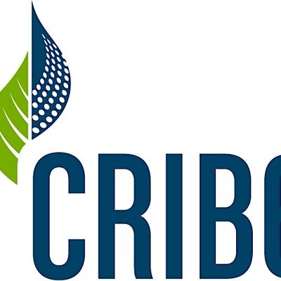 The Centre for Research and Innovation in the Bio Economy - CRIBE