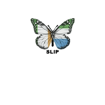 Sierra Leone Ireland Partnership (SLIP)