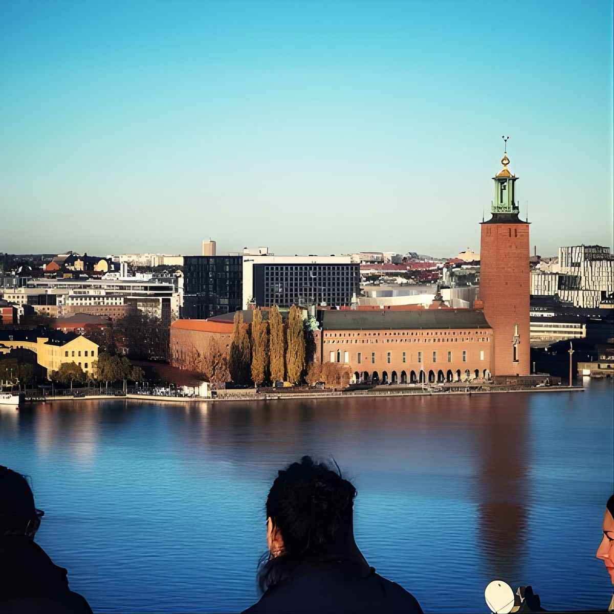 2-Hour Walking Tour Stockholm (Old Town and Surroundings)