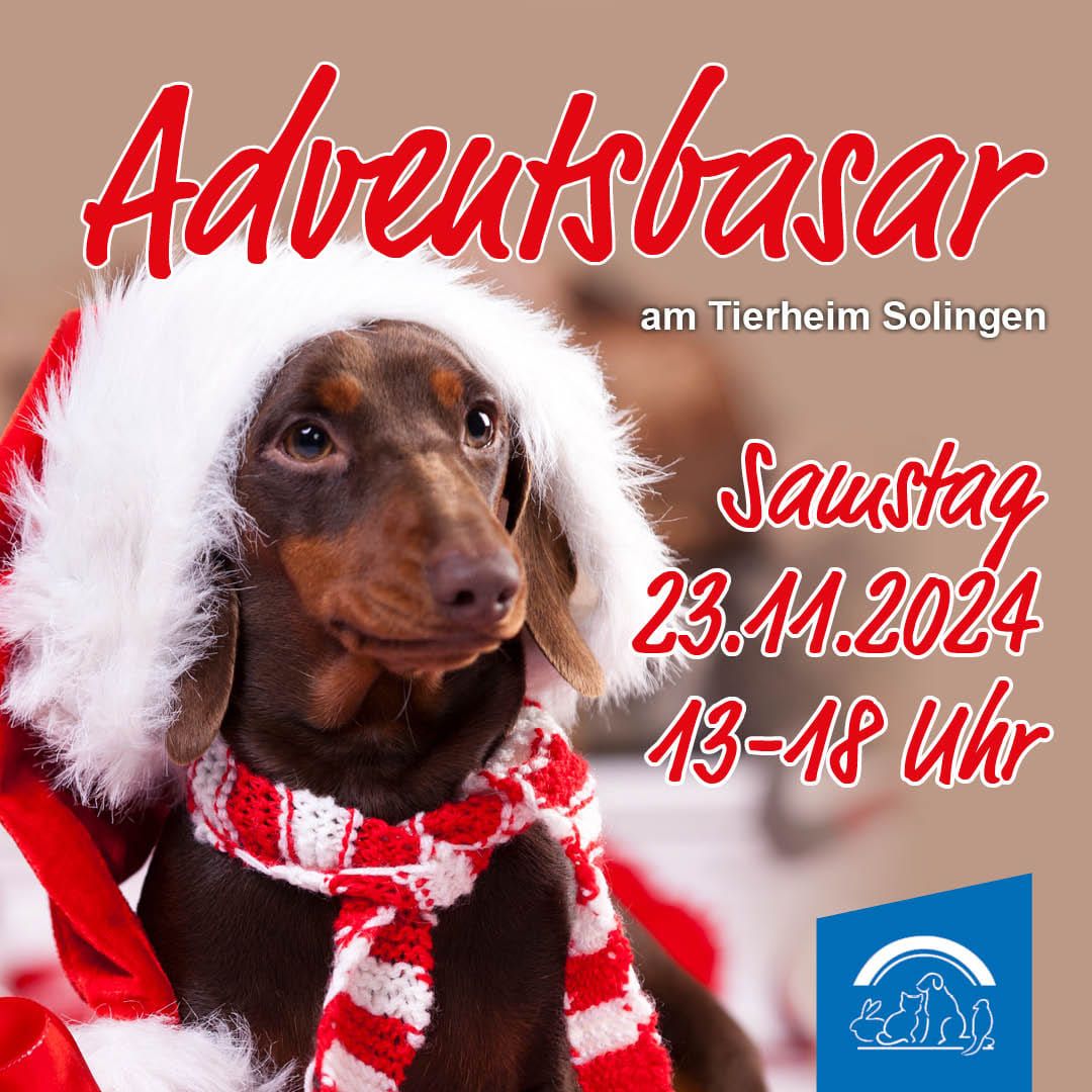 Adventsbasar am Tierheim