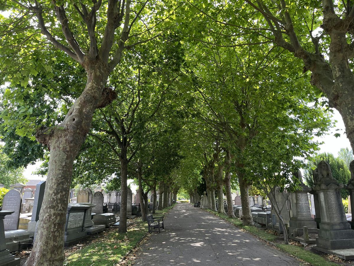 Guided Walks of Willesden Jewish Cemetery