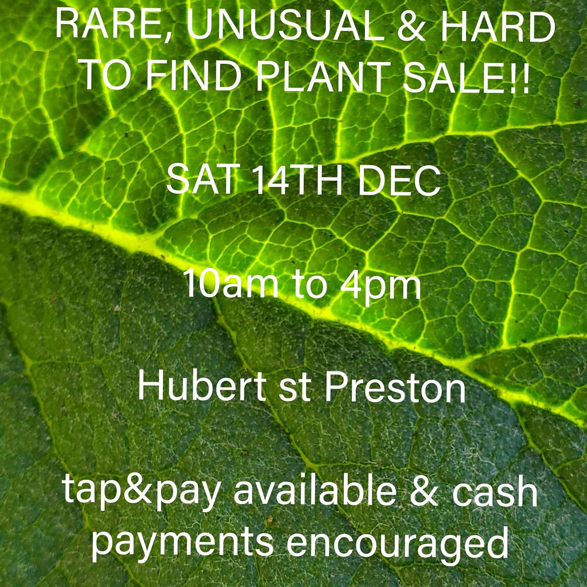 Rare and Hard to Find Herb and Plant Sale