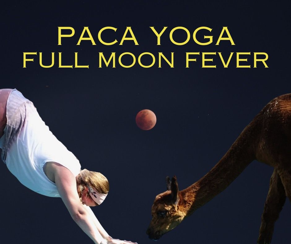 Paca Yoga - Full Moon Fever