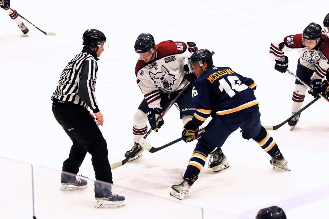 Chippewa Steel at Fairbanks Ice Dogs