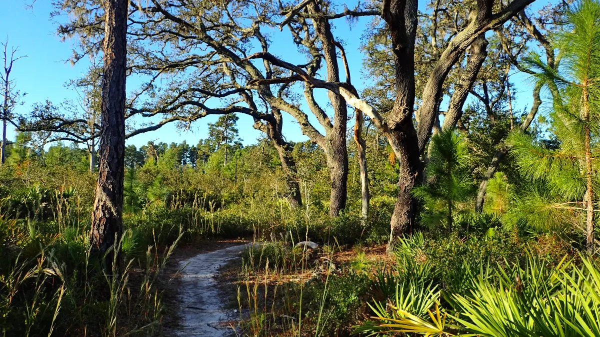 Hump Day Hike in Jay B Starkey Wilderness Park