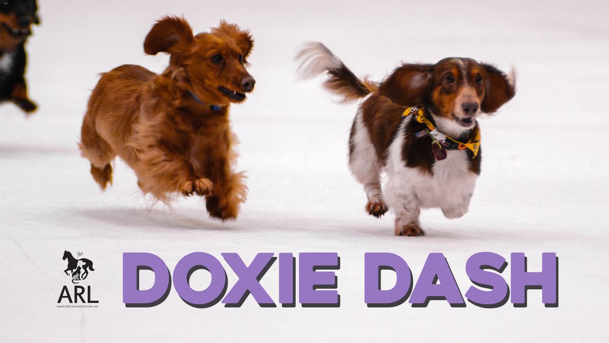 ARL Doxie Dash