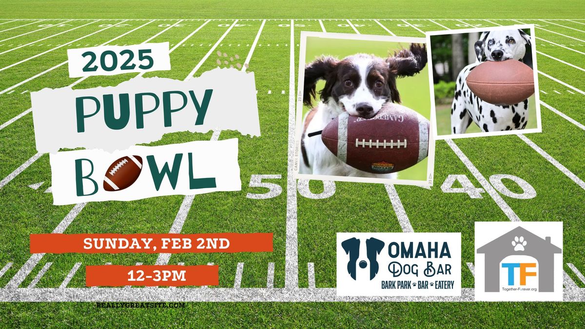 2025 Puppy Bowl with Together Furever @ Omaha Dog Bar