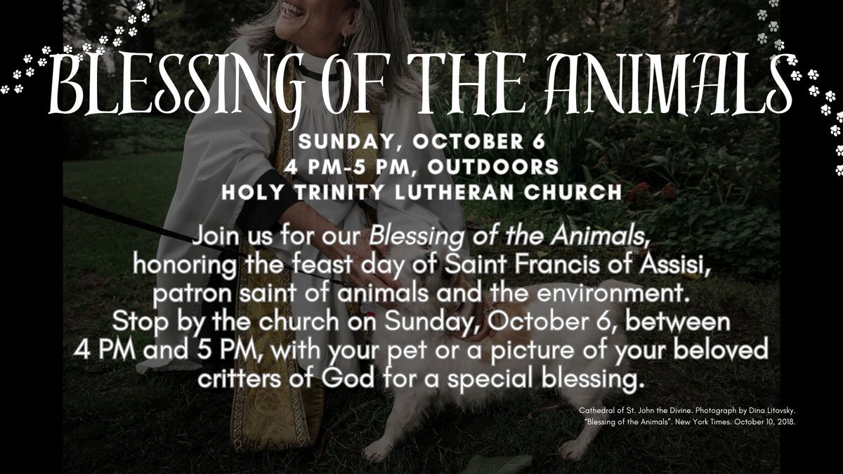 Blessing of the Animals