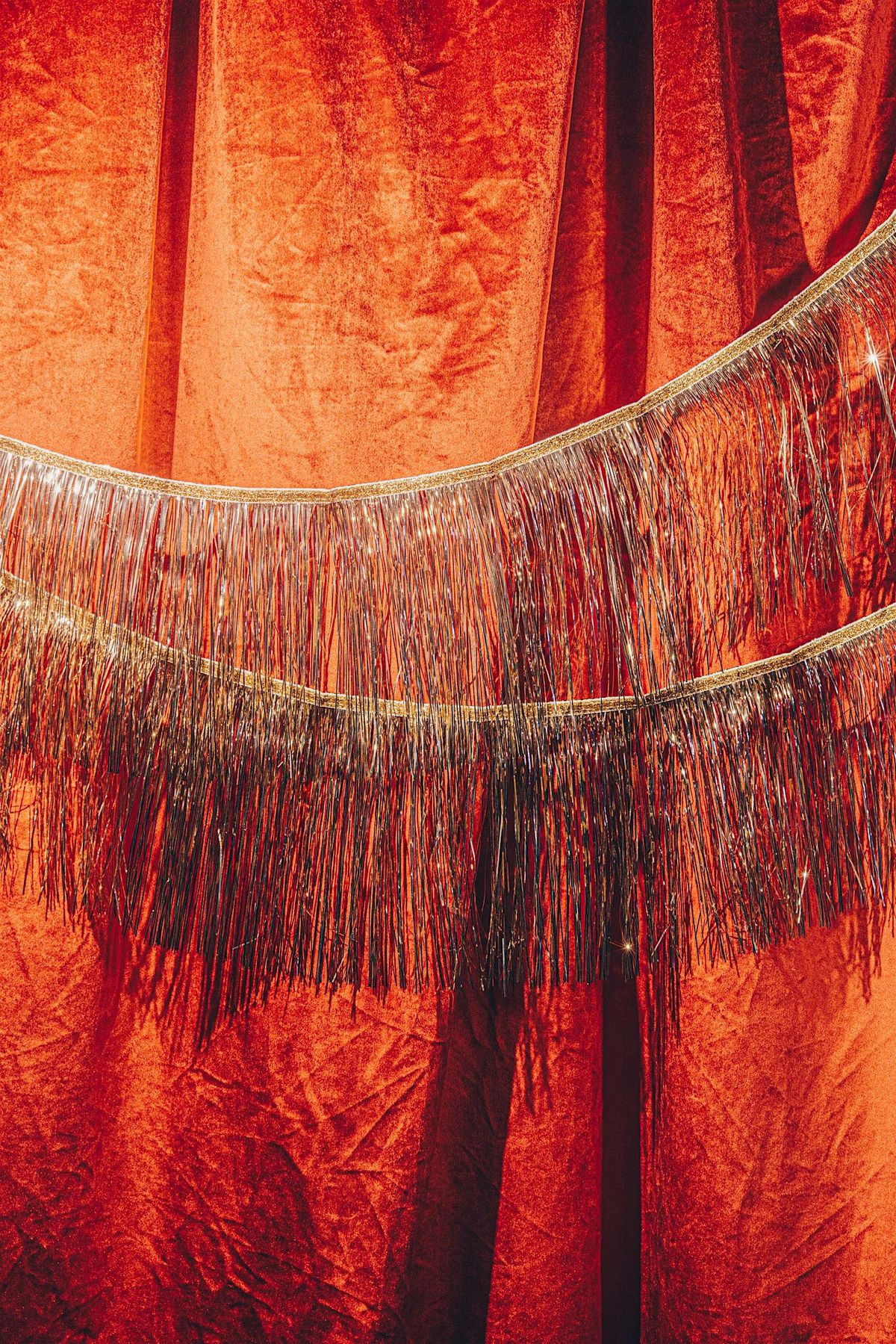 Lucky Bastard Distillers & Saskatoon Dog Rescue Photos with Santa