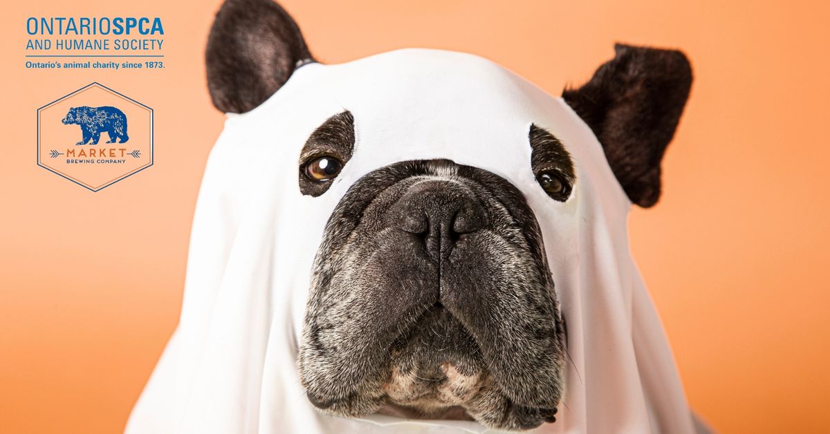 Ha-Ha-Howl-O-Ween: Stand Up for the Ontario SPCA