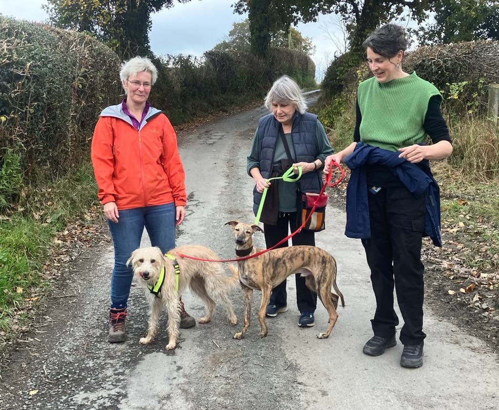 Sunday walks - teithiau cerdded dydd Sul