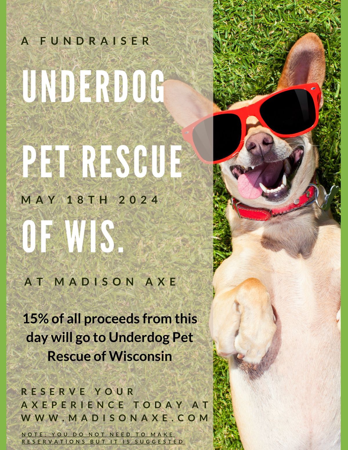 Underdog Pet Rescue Fundraiser