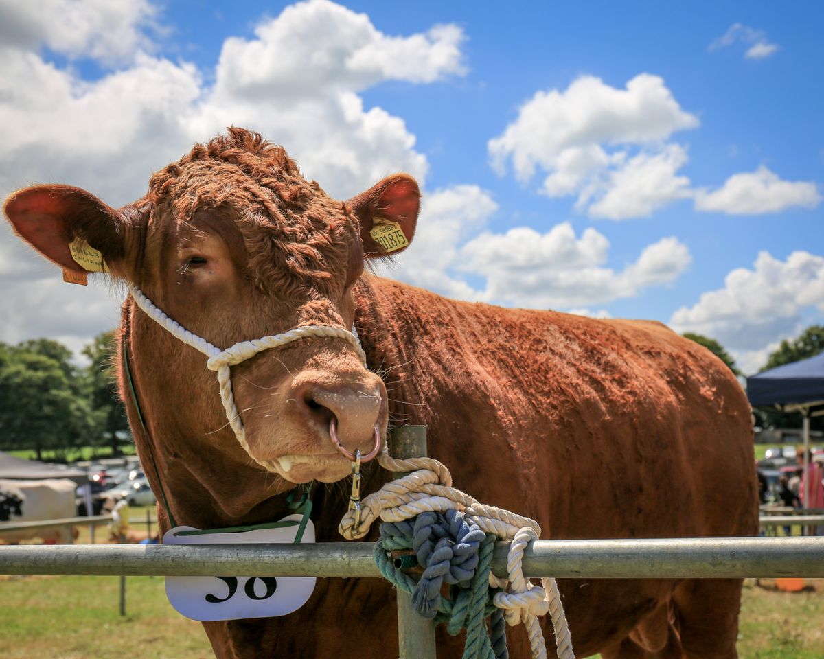 120th Liskeard Show