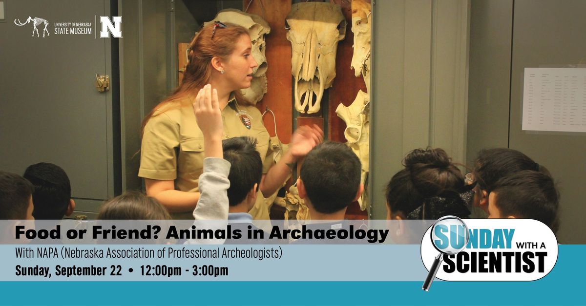 Sunday with a Scientist: Food or Friend? Animals in Archaeology