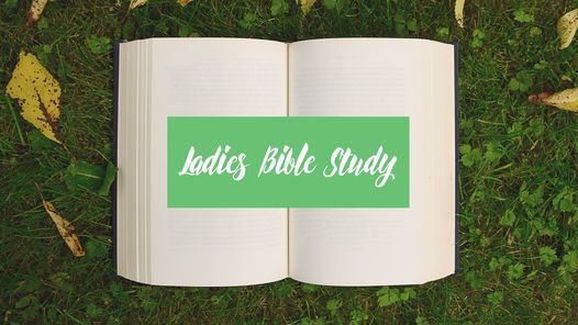 Ladies Bible Study (virtual)