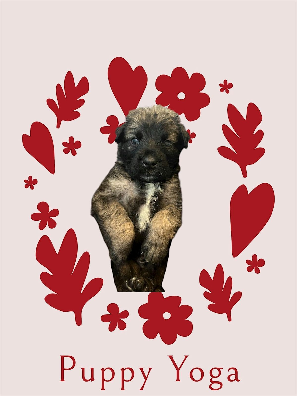 Puppy Yoga