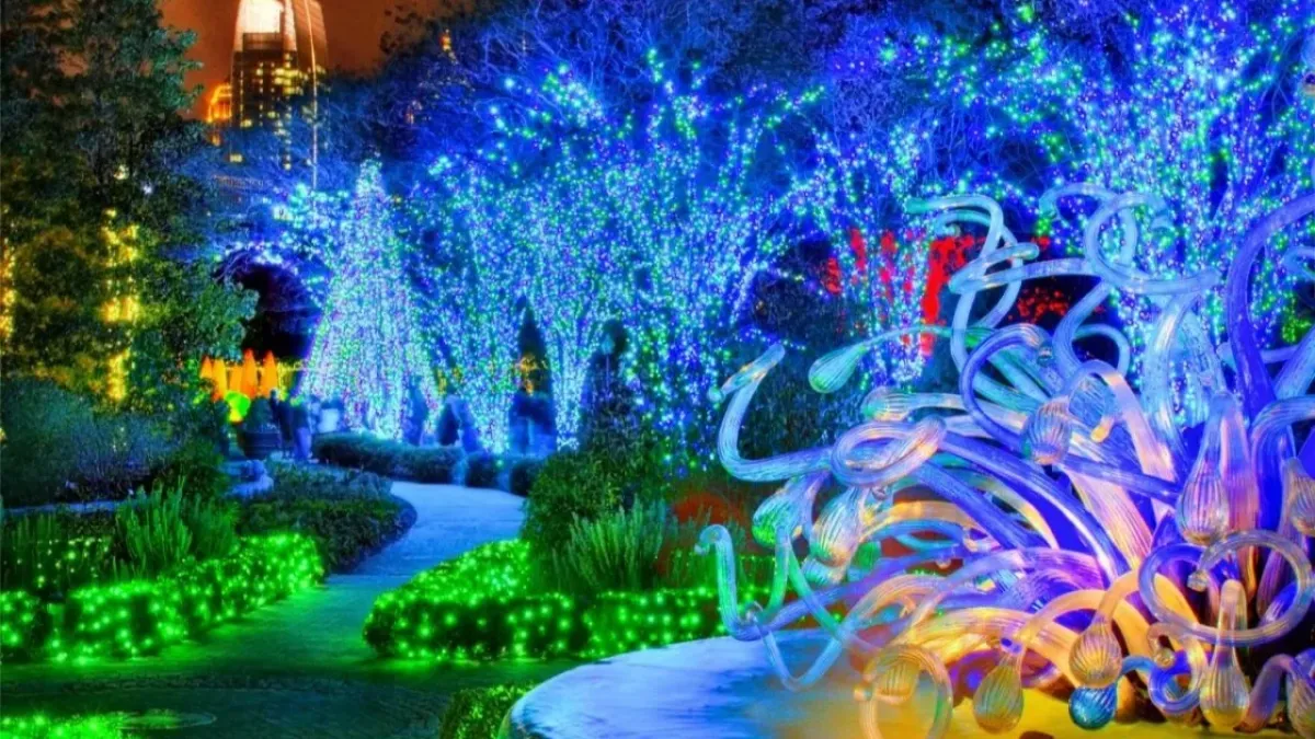 Holiday Lights @ The Botanical Garden