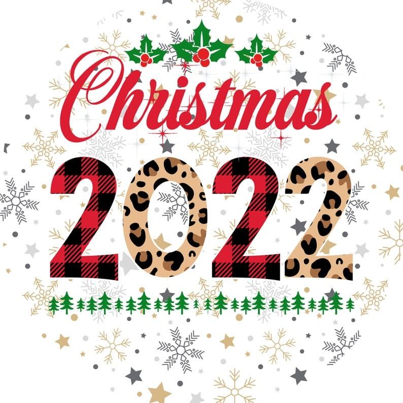 Milford on Sea Primary School Christmas Fair 2022, MilfordonSea CofE