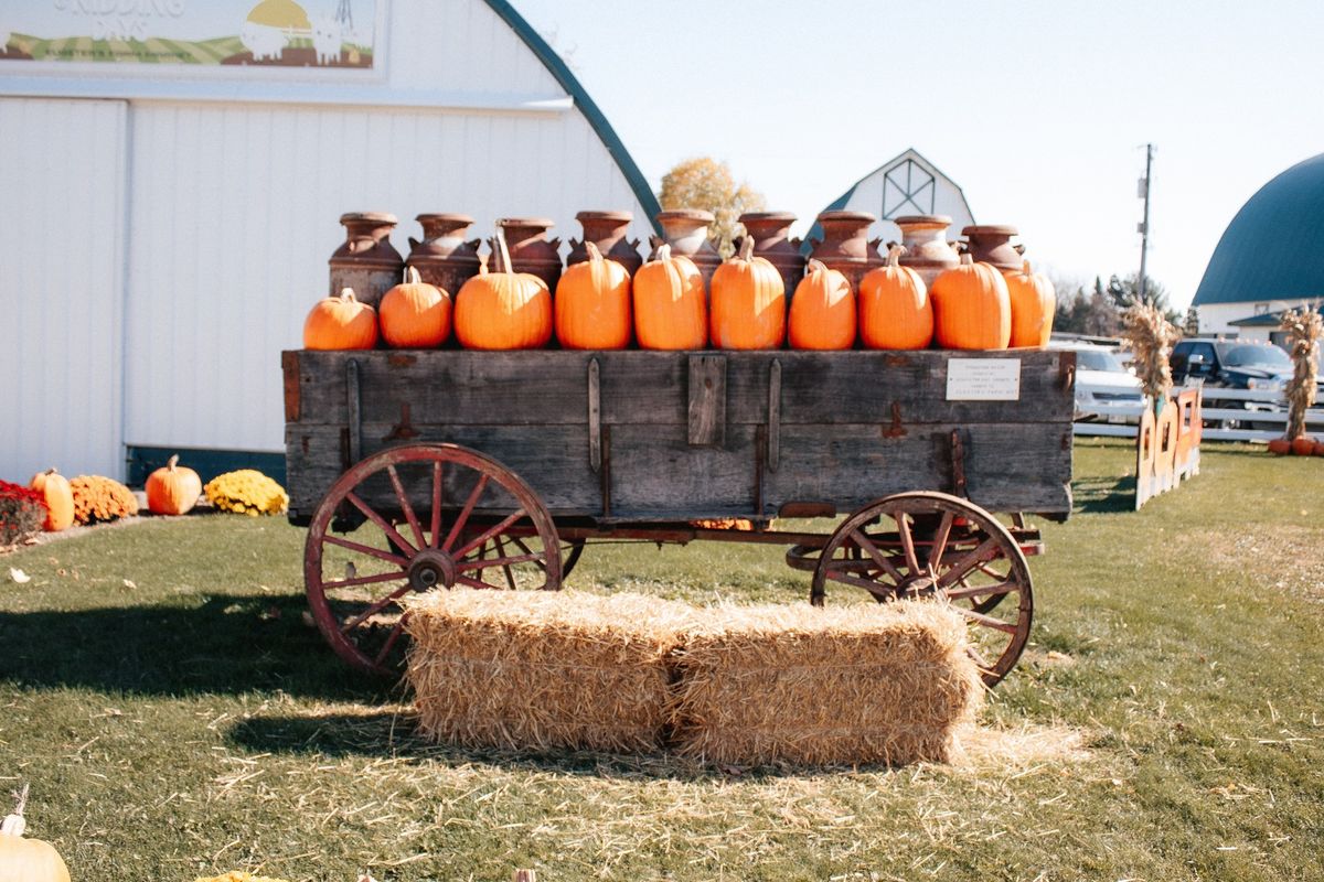 FALL FESTIVAL at Eugster\u2019s Farm Market