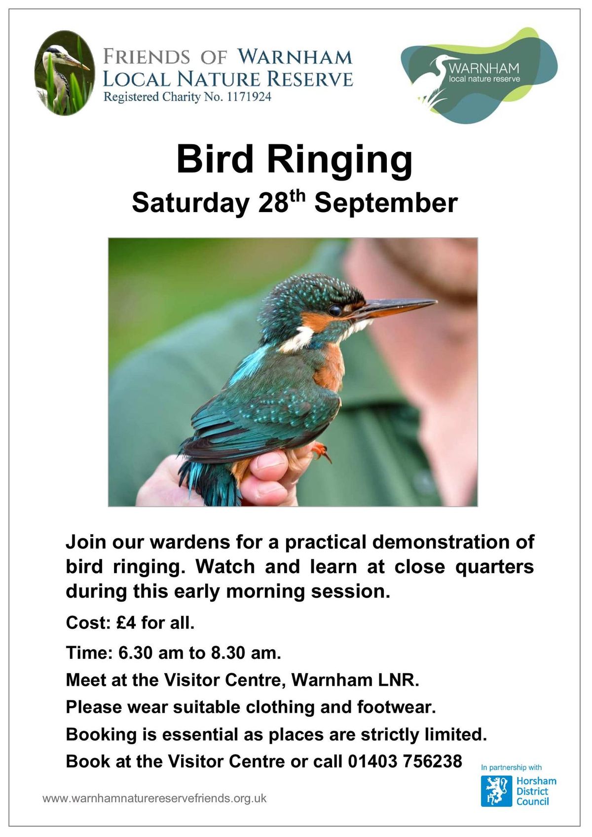 Bird Ringing