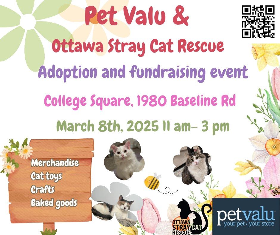 Pet Valu College Square Adoption & Fundraiser