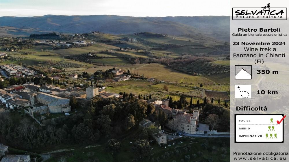 Wine Trek a Panzano in Chianti (Fi)