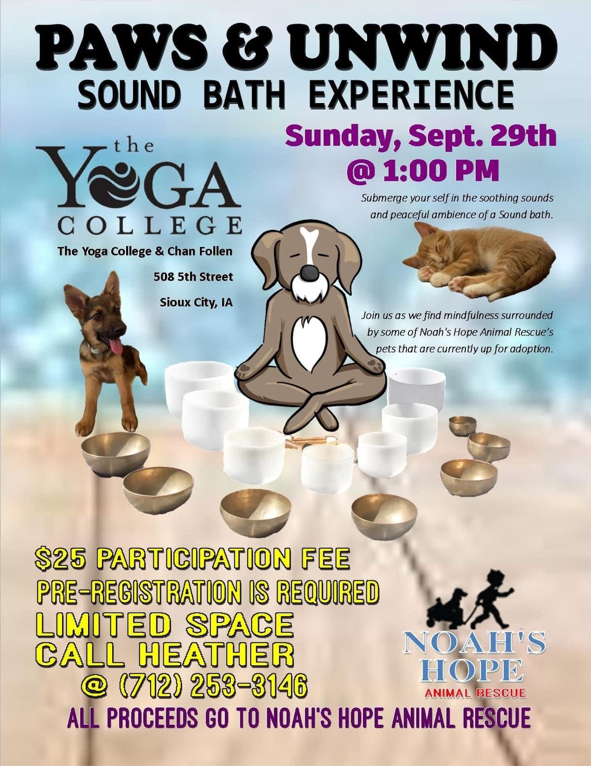 Paws & Unwind Sound Bath Experience 