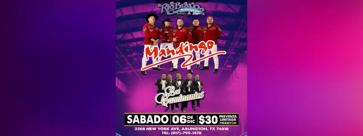 MANDINGO & LOS CAMINANTES