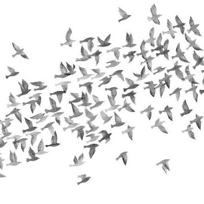 Murmuration Community Therapy