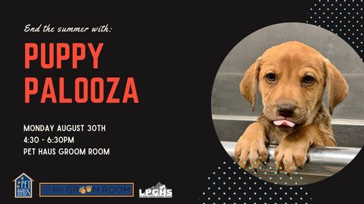 Puppy Palooza