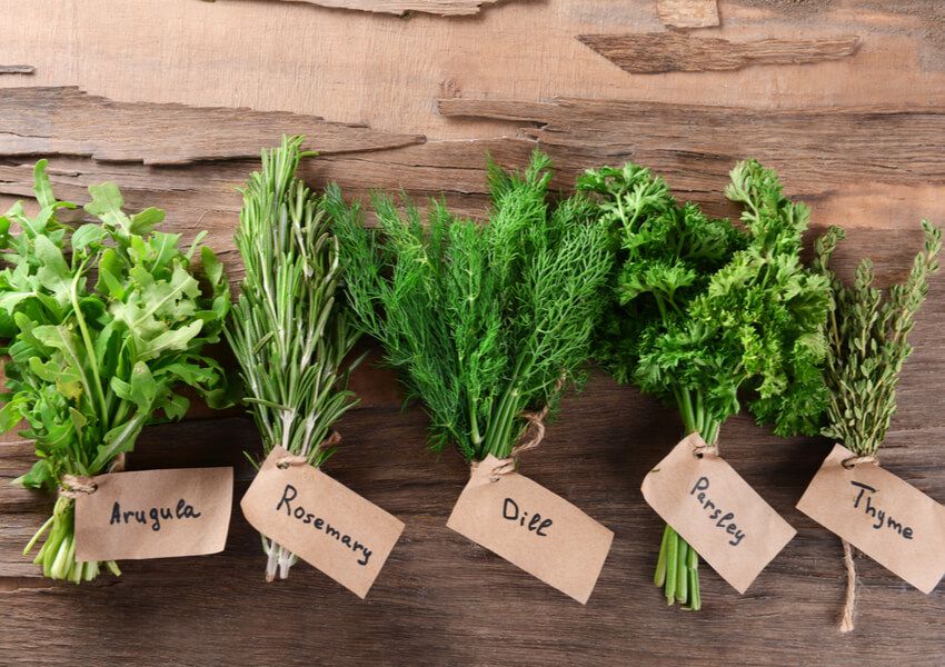 HERBS from the GARDEN: In the Kitchen with Judi Strauss