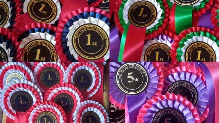  Christmas Unaffiliated Show Jumping OPEN TO ALL 