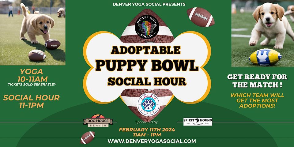 Adoptable Puppy Bowl - Social Hour at Dog House Denver