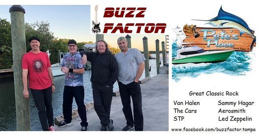 Buzz Factor at Pete's Place North Tampa