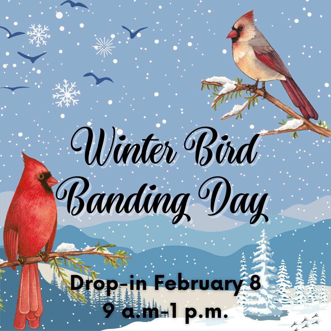 Observe Winter Bird Banding Research